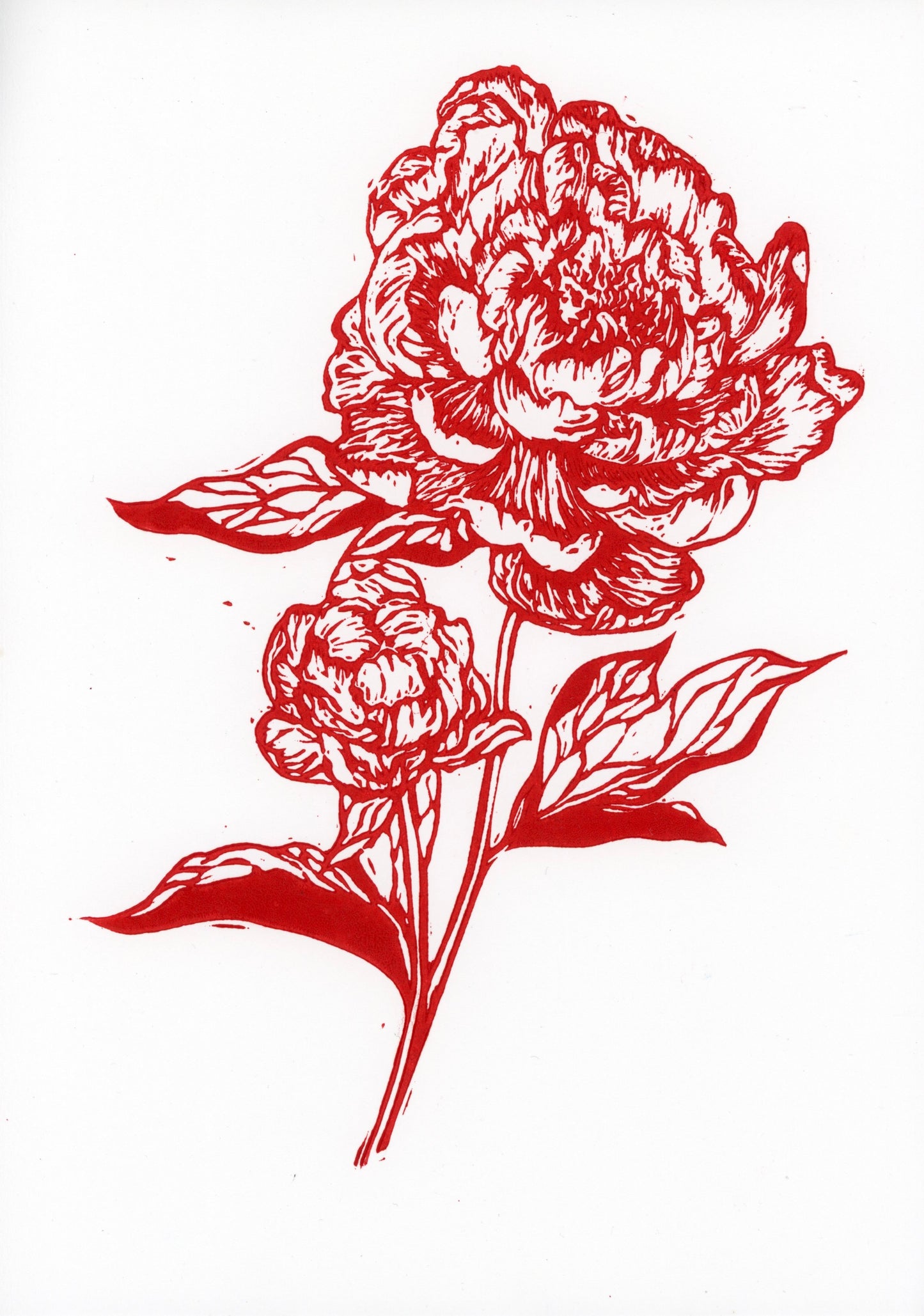 'Peonies' original print