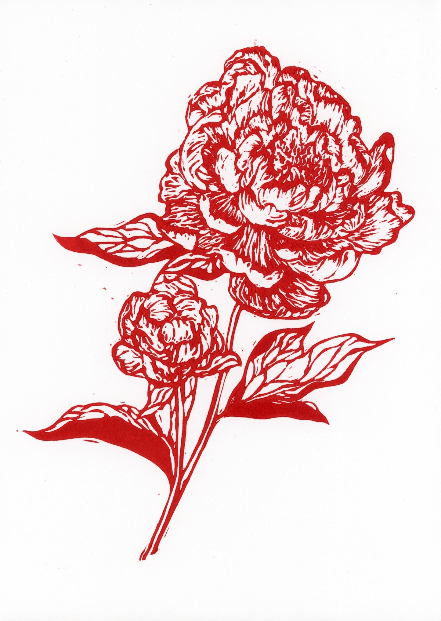 'Peonies' original print